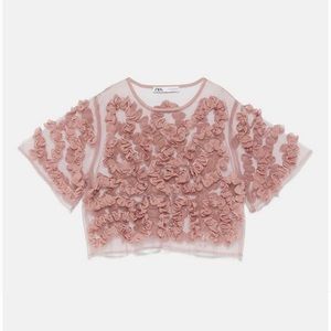 Cropped appliqué top